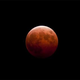 Illustration for article titled Todays Lunar Eclipse Looked Spectacular